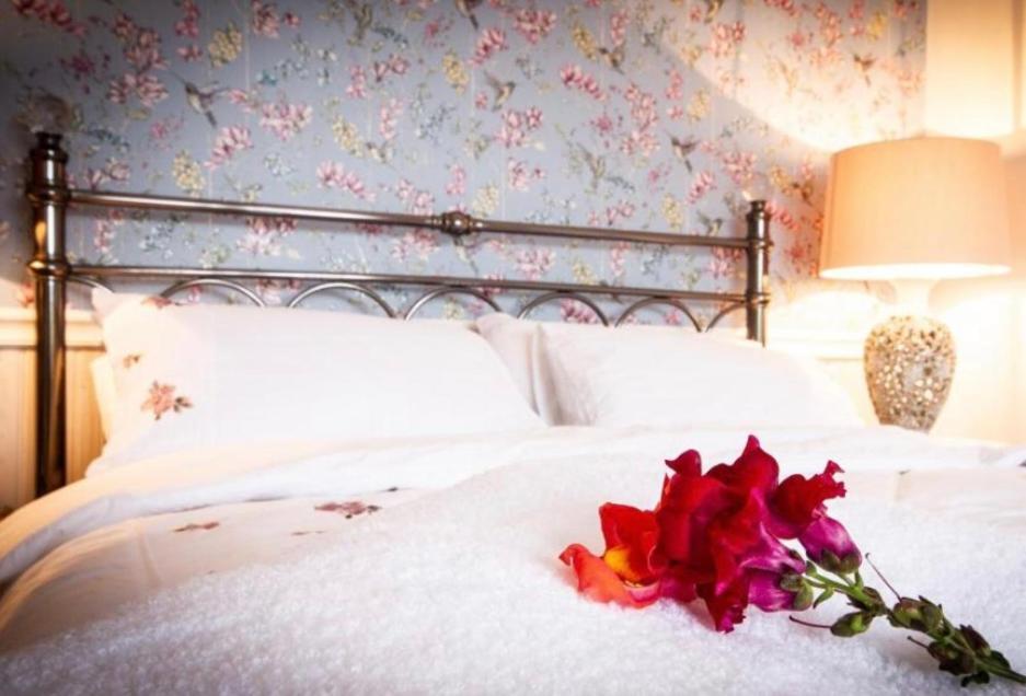 The Blue Cat Hotel Кенмеър Екстериор снимка